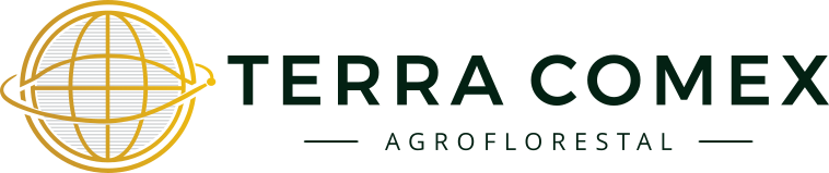Terra Comex Logo